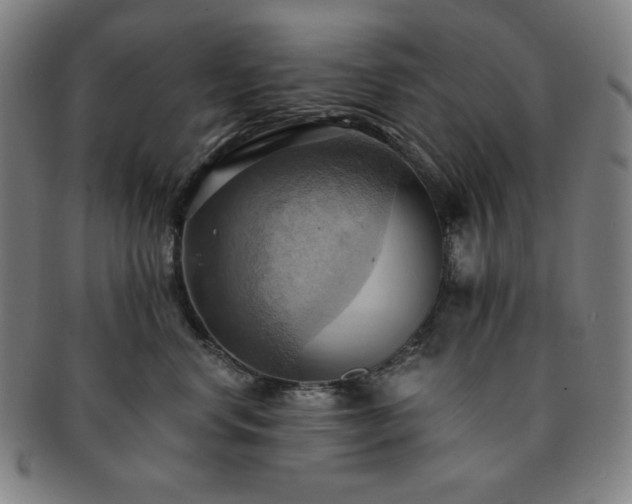 X0000091460668200708231318