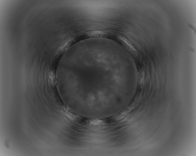 X0000091460669200708231318