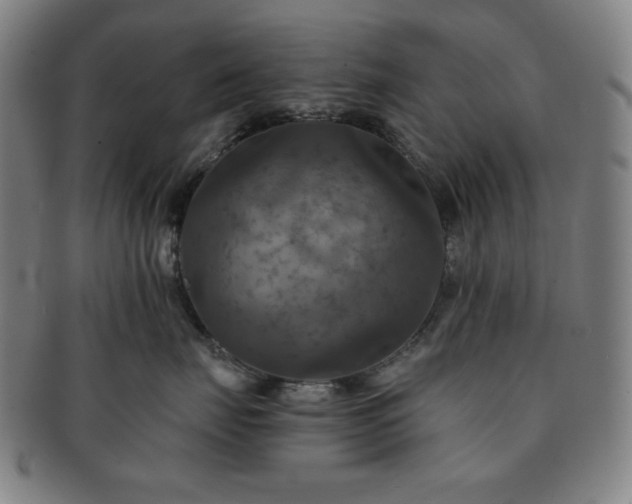 X0000091460671200708231318