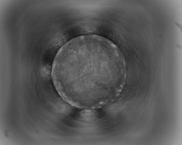 X0000091460672200708231318