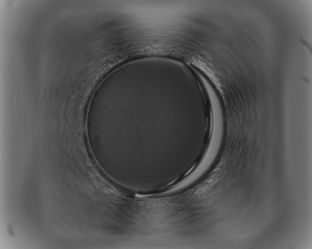 X0000091460673200708231317