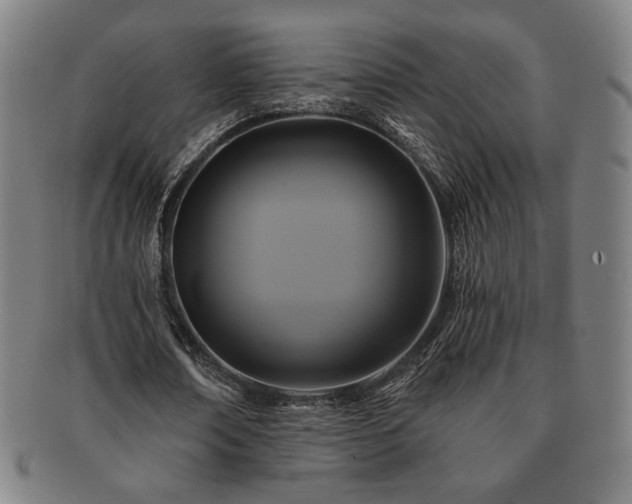 X0000091460674200708231317