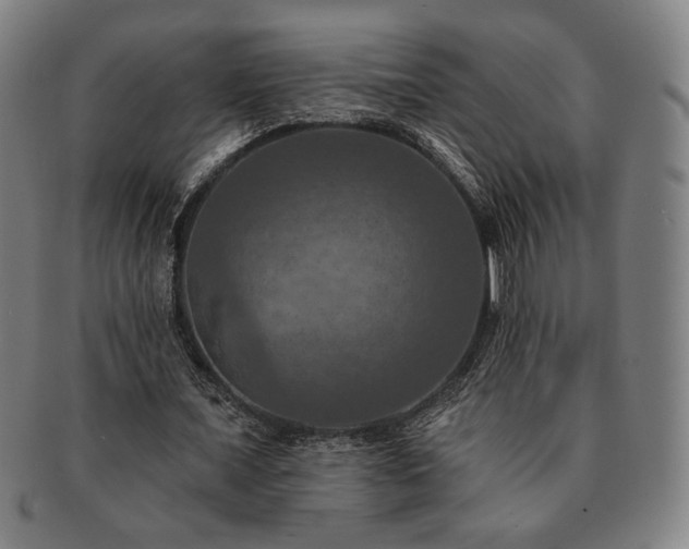 X0000091460675200708231317
