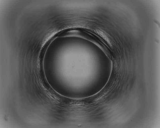 X0000091460676200708231317