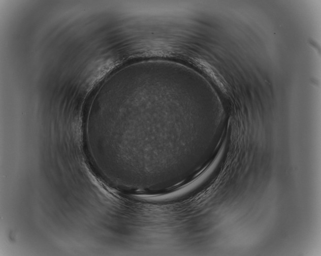 X0000091460677200708231317
