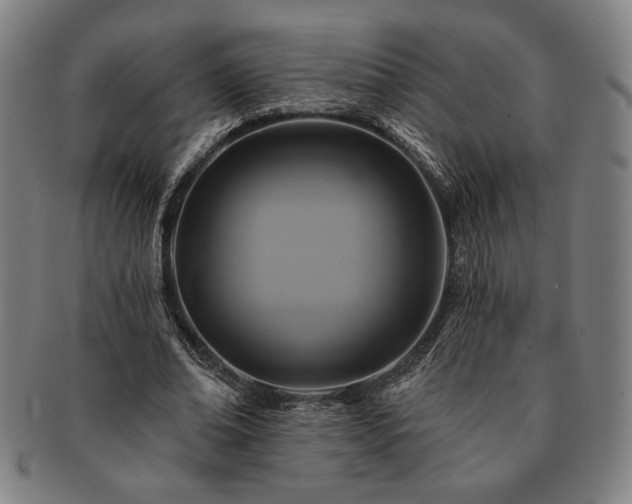 X0000091460678200708231317