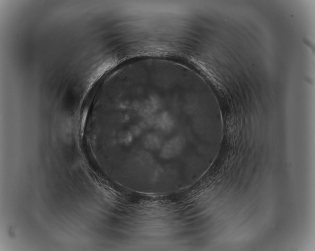 X0000091460679200708231317