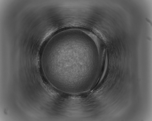 X0000091460680200708231317