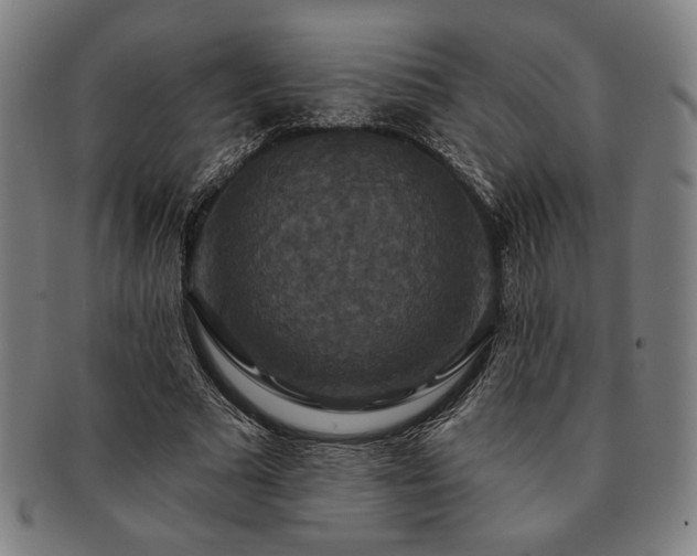 X0000091460681200708231317