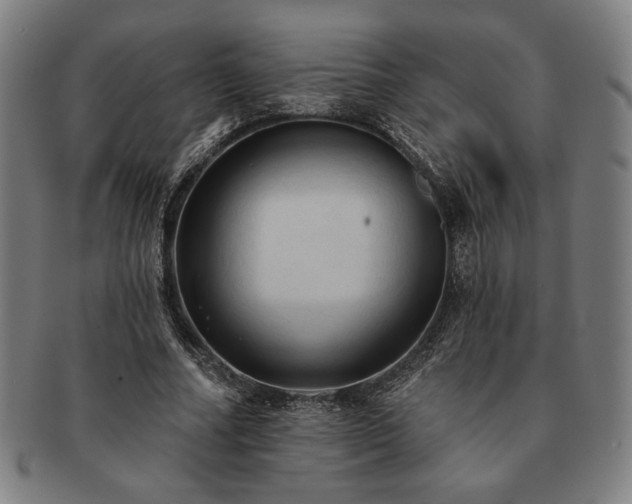 X0000091460682200708231317