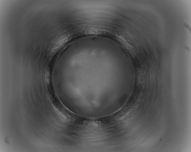 X0000091460683200708231317