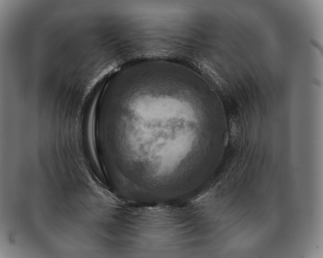 X0000091460684200708231317