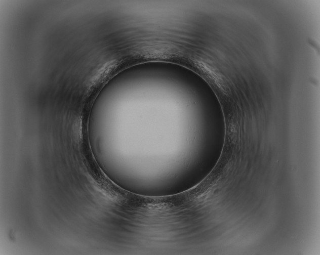 X0000091460686200708231317