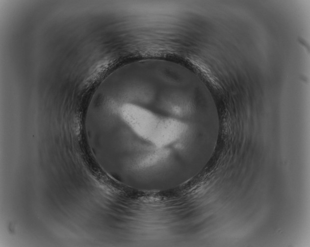 X0000091460687200708231317
