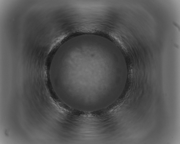 X0000091460688200708231317