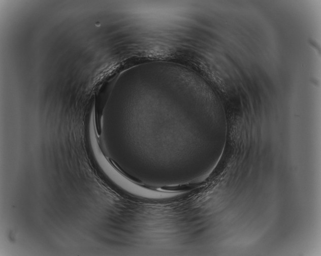 X0000091460689200708231317
