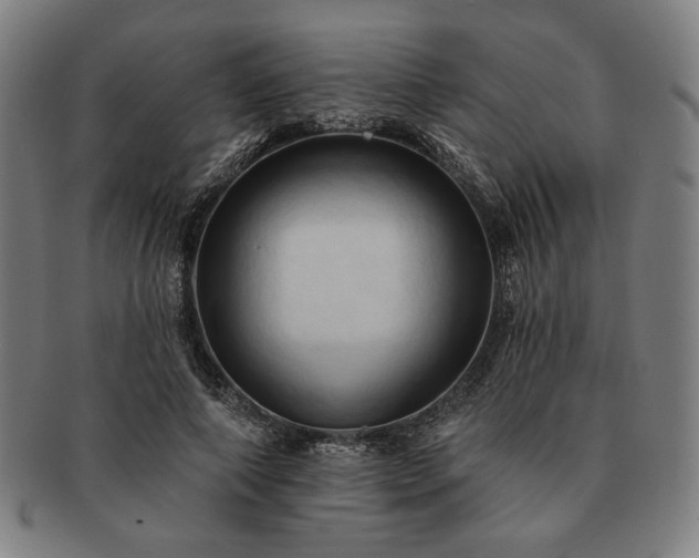 X0000091460690200708231317