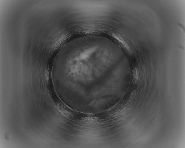 X0000091460691200708231317