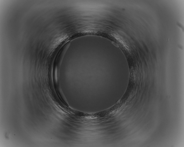 X0000091460692200708231317