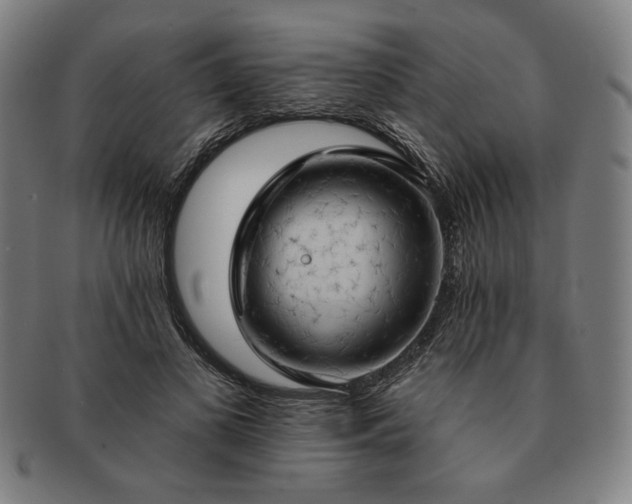 X0000091460693200708231317