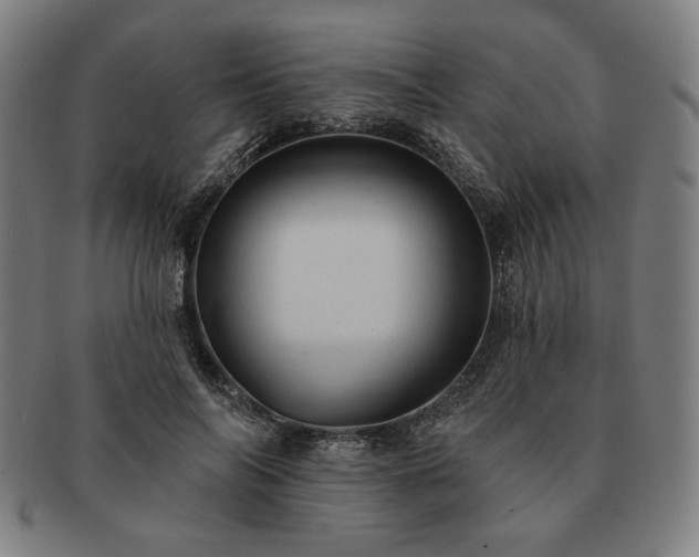 X0000091460694200708231317