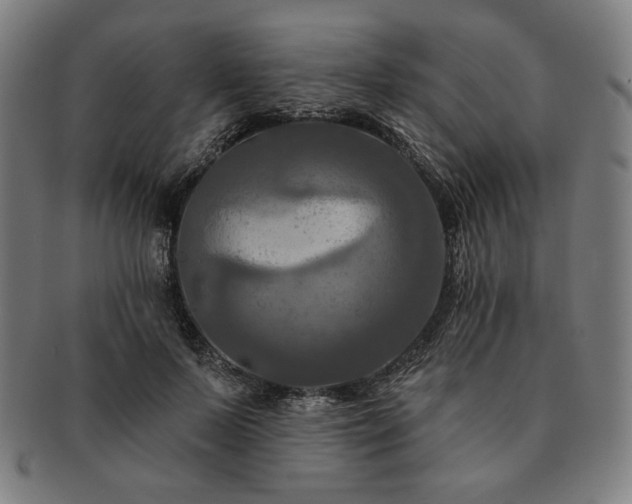 X0000091460695200708231317
