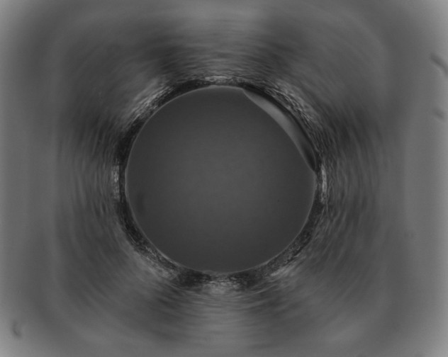 X0000091460696200708231317