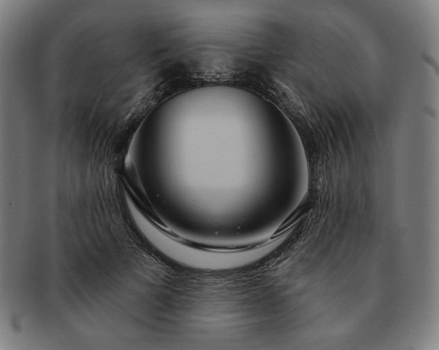 X0000091460697200708231317