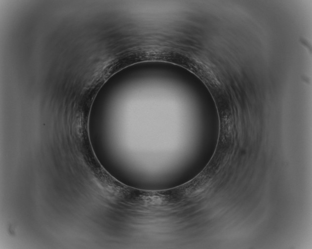 X0000091460698200708231317