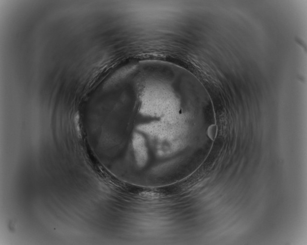 X0000091460699200708231317