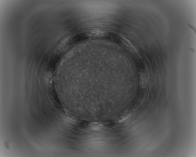 X0000091460701200708231317