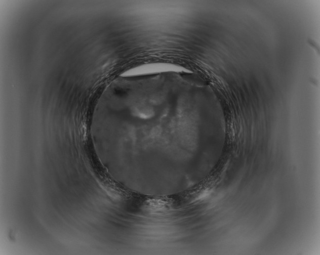X0000091460703200708231317