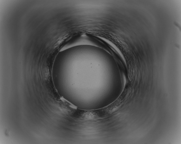 X0000091460704200708231317