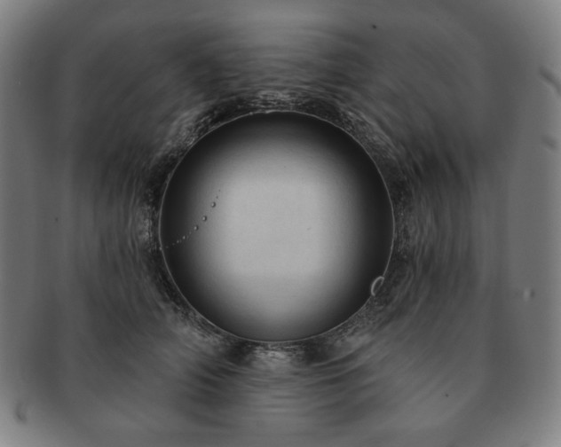 X0000091460706200708231317