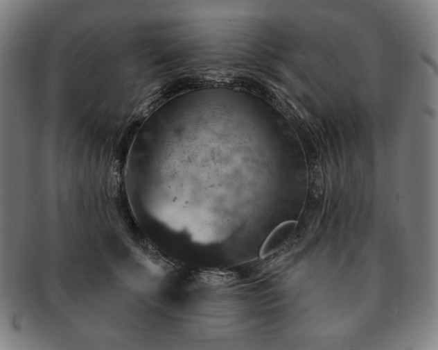 X0000091460707200708231317