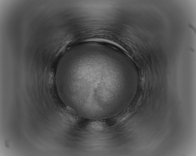 X0000091460708200708231317