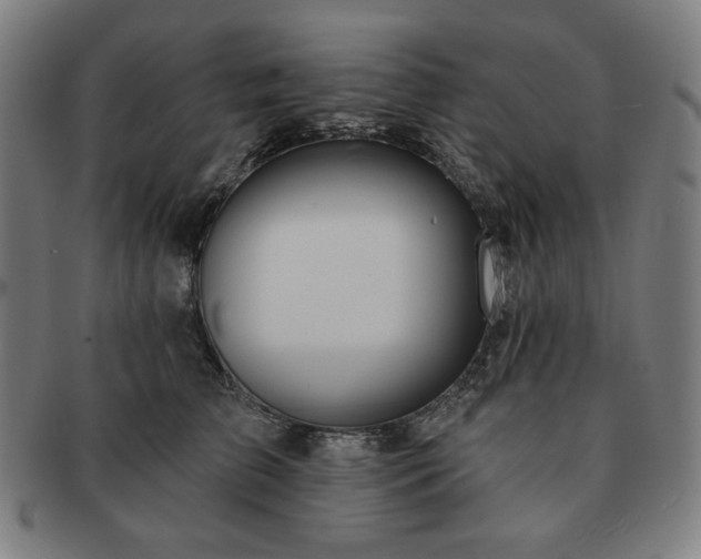 X0000091460709200708231317