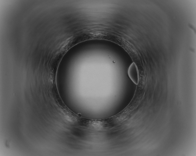 X0000091460710200708231317