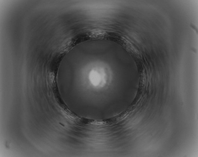 X0000091460711200708231316