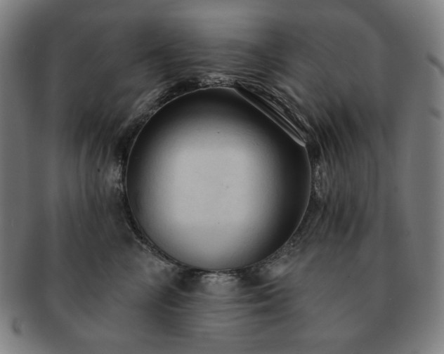 X0000091460714200708231316