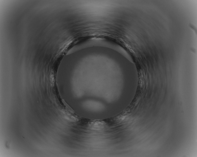 X0000091460716200708231316