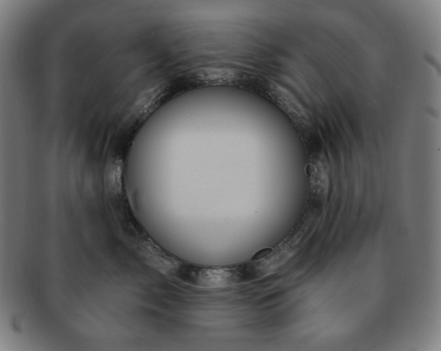 X0000091460717200708231316