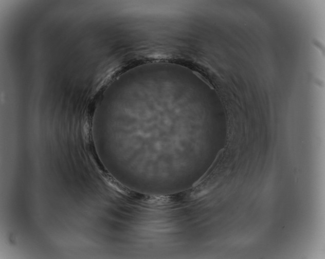 X0000091460720200708231316