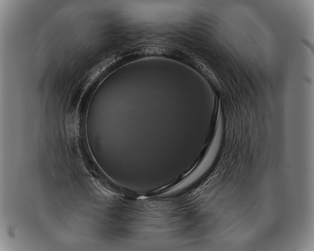 X0000091460722200708231316
