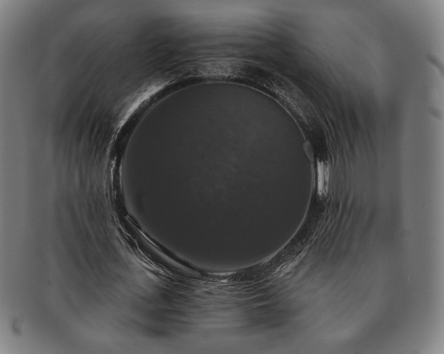 X0000091460723200708231316