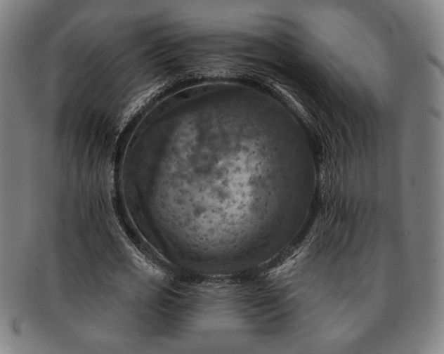 X0000091460725200708231316