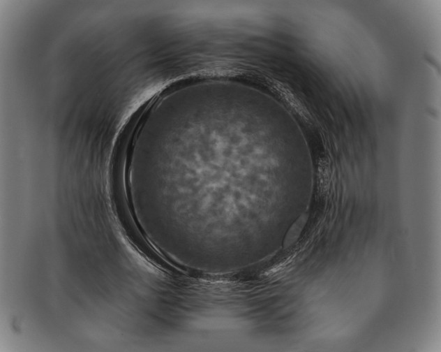 X0000091460726200708231316