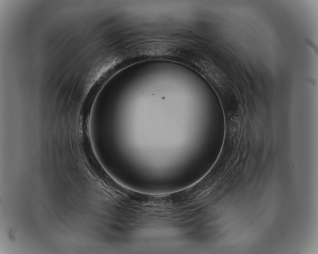X0000091460727200708231316