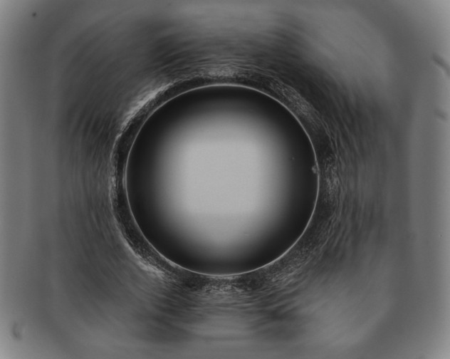 X0000091460728200708231316