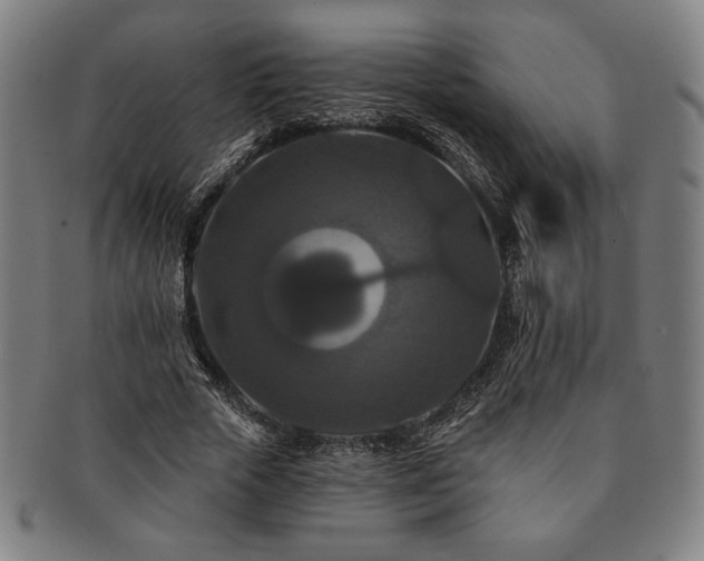 X0000091460729200708231316